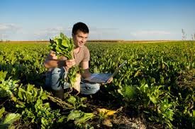 Precision Farming: Boosting Yields While Protecting the Environment